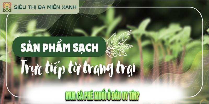 Bí Mật Cà Phê Muối: Thức Uống Độc Đáo Bạn Phải Thử