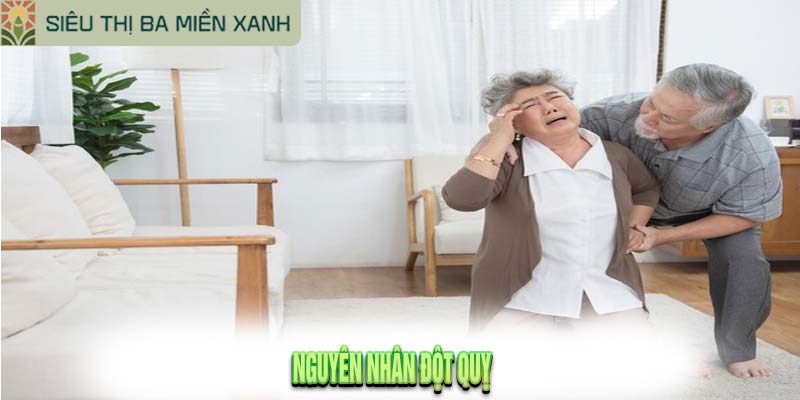 Hiểm Họa Đột Quỵ: Nhận Biết Dấu Hiệu và Phòng Ngừa Đúng Cách