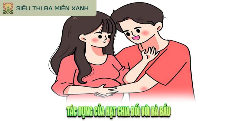 Khám Phá Tác Dụng của Hạt Chia Đối Với Sức Khỏe