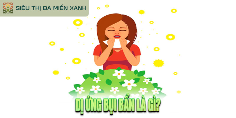 Dị Ứng Bụi Bẩn: Nguyên Nhân, Triệu Chứng và Cách Phòng Ngừa