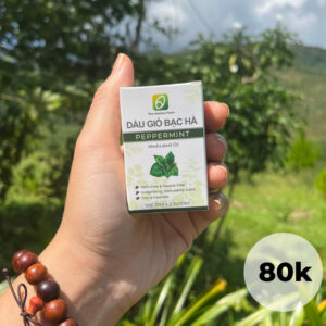 Dầu gió bạc hà hộp 2 chai (7ml/ chai)