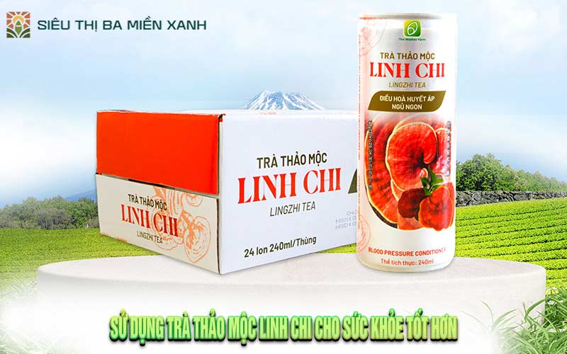 Sử Dụng Trà Thảo Mộc Linh Chi Cho Sức Khỏe Tốt Hơn