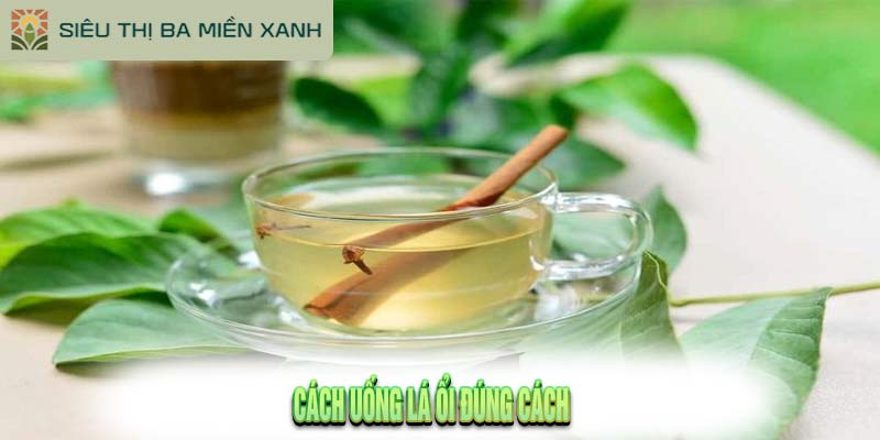 Lá Ổi Có Tác Dụng Gì?: Khám Phá 7 Lợi Ích Mà Lá Ổi Mang Lại 3 Lá Ổi Có Tác Dụng Gì?: Khám Phá 7 Lợi Ích Mà Lá Ổi Mang Lại