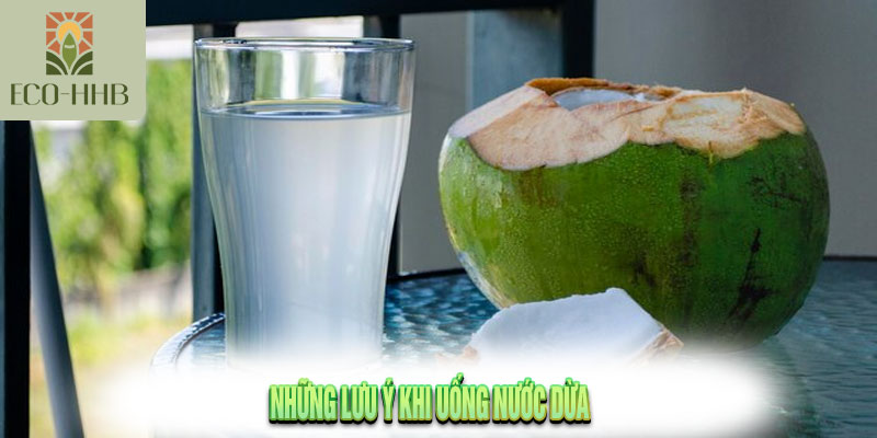 Uống nước dừa Với 10 Lợi Ích Và Lưu Ý Tất Quan Trọng