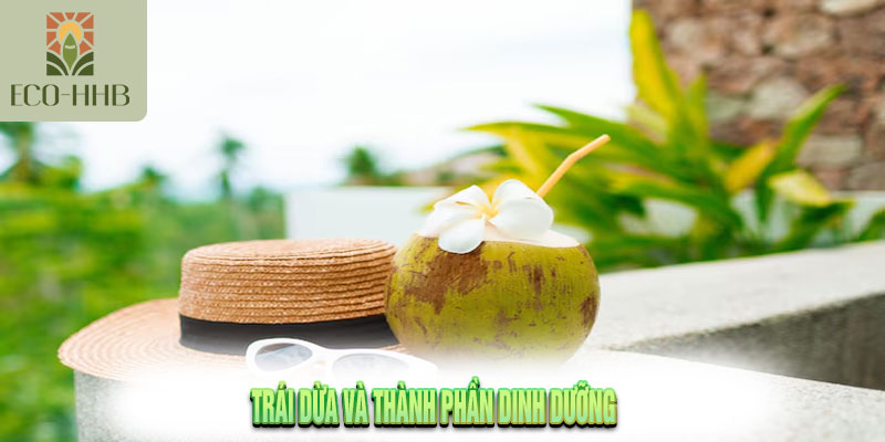 Uống nước dừa Với 10 Lợi Ích Và Lưu Ý Tất Quan Trọng