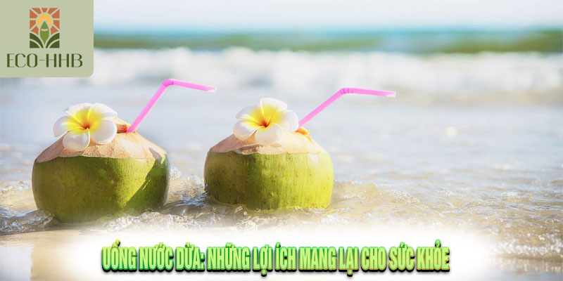 Uống nước dừa Với 10 Lợi Ích Và Lưu Ý Tất Quan Trọng