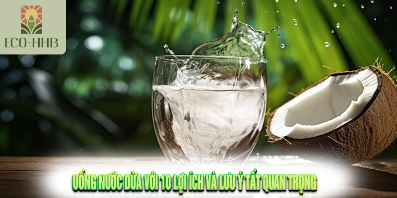 Uống nước dừa Với 10 Lợi Ích Và Lưu Ý Tất Quan Trọng