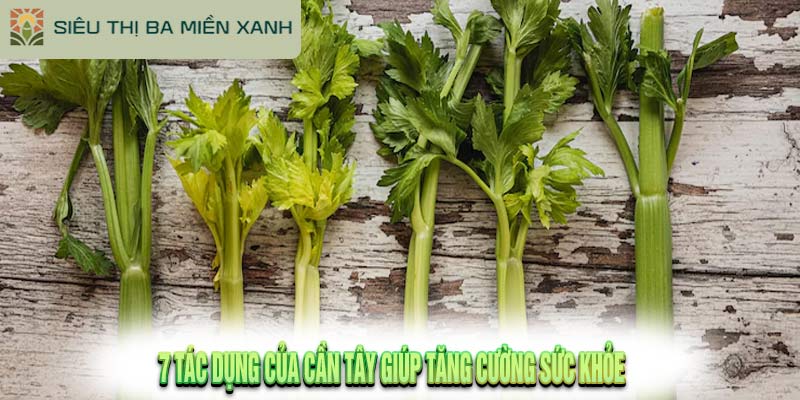 7 Tác Dụng Của Cần Tây Giúp Tăng Cường Sức Khỏe