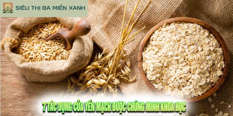 7 Tác Dụng Của Yến Mạch Được Chứng Minh