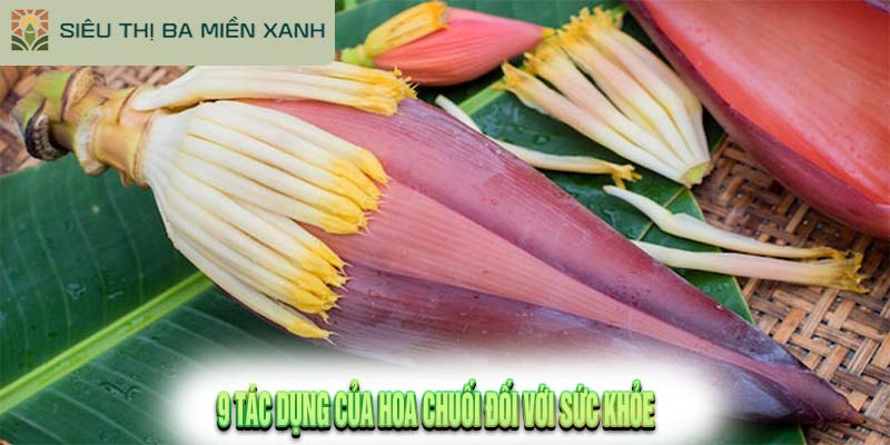 9 Tác Dụng Của Hoa Chuối Đối Với Sức Khỏe