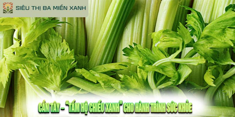 7 Tác Dụng Của Cần Tây Giúp Tăng Cường Sức Khỏe