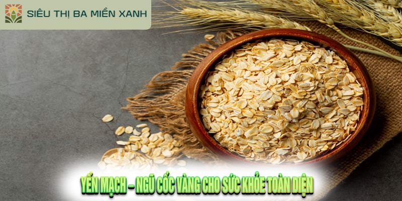 7 Tác Dụng Của Yến Mạch Được Chứng Minh