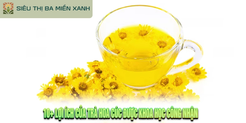 10 Lợi Ích Của Trà Hoa Cúc Tìm Hiểu Ngay!!