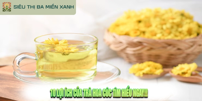 10 Lợi Ích Của Trà Hoa Cúc Tìm Hiểu Ngay!!