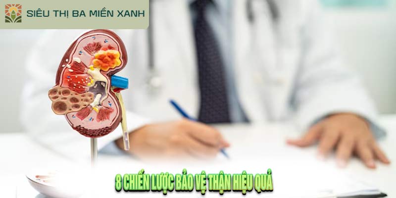 Bảo Vệ Thận: 8 Chiến Lược Hiệu Quả 2 Bảo Vệ Thận: 8 Chiến Lược Hiệu Quả