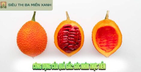 Công Dụng Của Quả Gấc: Góc Nhìn Thực Tiễn