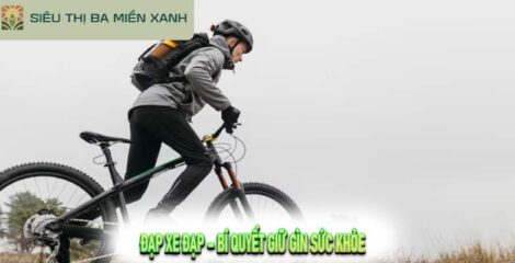 Đạp Xe Đạp – Bí Quyết Giữ Gìn Sức Khỏe