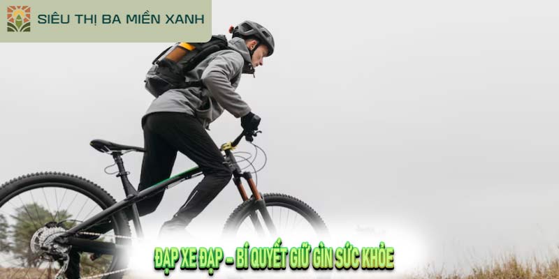 Đạp Xe Đạp – Bí Quyết Giữ Gìn Sức Khỏe