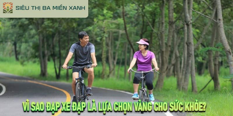 Đạp Xe Đạp – Bí Quyết Giữ Gìn Sức Khỏe