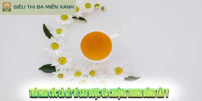 10 Lợi Ích Của Trà Hoa Cúc Tìm Hiểu Ngay!!