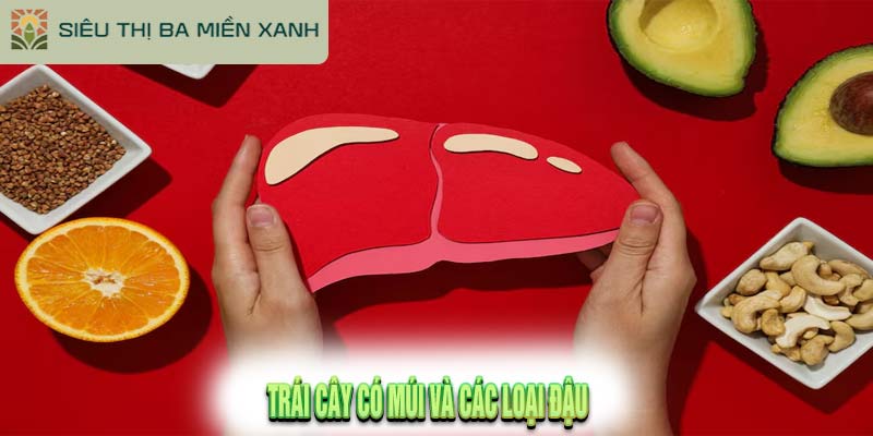 Top 10+ Thực Phẩm Tốt Cho Gan Nên Bổ Sung Ngay