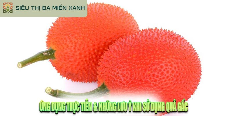 Công Dụng Của Quả Gấc: Góc Nhìn Thực Tiễn 3 Công Dụng Của Quả Gấc: Góc Nhìn Thực Tiễn