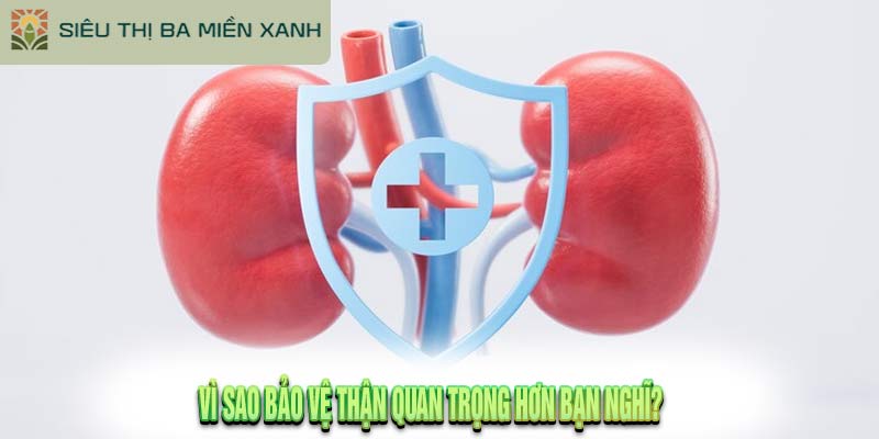 Bảo Vệ Thận: 8 Chiến Lược Hiệu Quả 1 Bảo Vệ Thận: 8 Chiến Lược Hiệu Quả