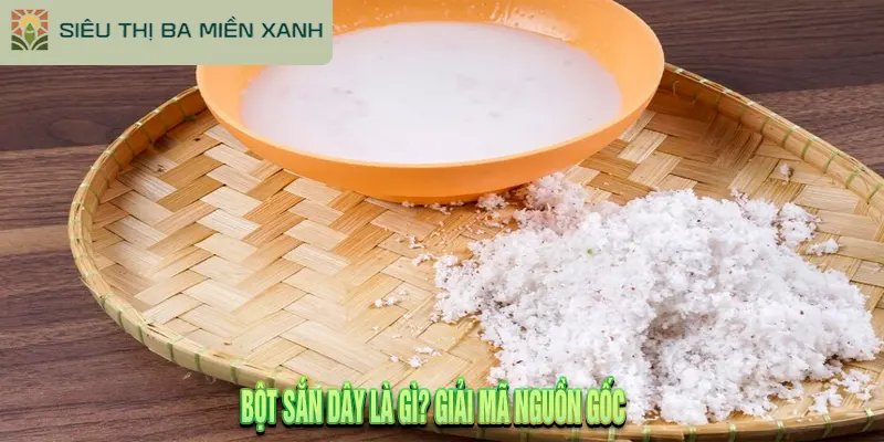 Bột Sắn Dây Có Tác Dụng Gì? Dùng Sao Cho Đúng Chuẩn?