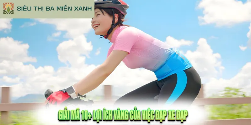 Đạp Xe Đạp Có Tác Dụng Gì? 10+ Lợi Ích Sức Khỏe