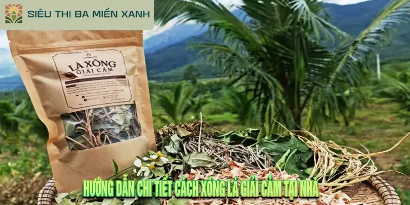 Lá xông giải cảm là gì? Hướng dẫn dùng đúng cách.