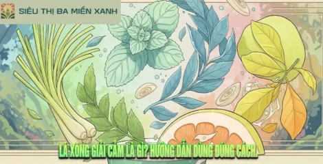 Lá xông giải cảm là gì? Hướng dẫn dùng đúng cách.