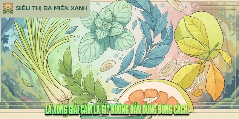 Lá xông giải cảm là gì? Hướng dẫn dùng đúng cách.
