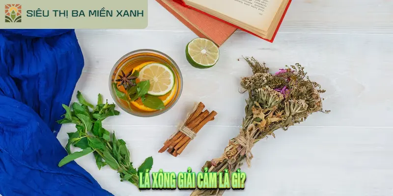 Lá xông giải cảm là gì? Hướng dẫn dùng đúng cách.