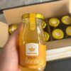 Nước Uống Xương Rồng Leafking Thanh Lọc, Bổ Sung Vitamin