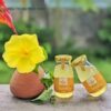Nước Uống Xương Rồng Leafking Thanh Lọc, Bổ Sung Vitamin