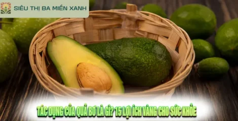 Tác Dụng Của Quả Bơ Là Gì? 15 Lợi Ích Vàng Cho Sức Khỏe