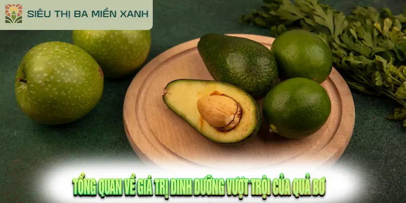 Tác Dụng Của Quả Bơ Là Gì? 15 Lợi Ích Vàng Cho Sức Khỏe