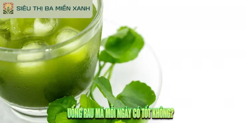 Rau Má Có Tác Dụng Gì Cho Da, Sức Khỏe? Hướng Dẫn Chi Tiết
