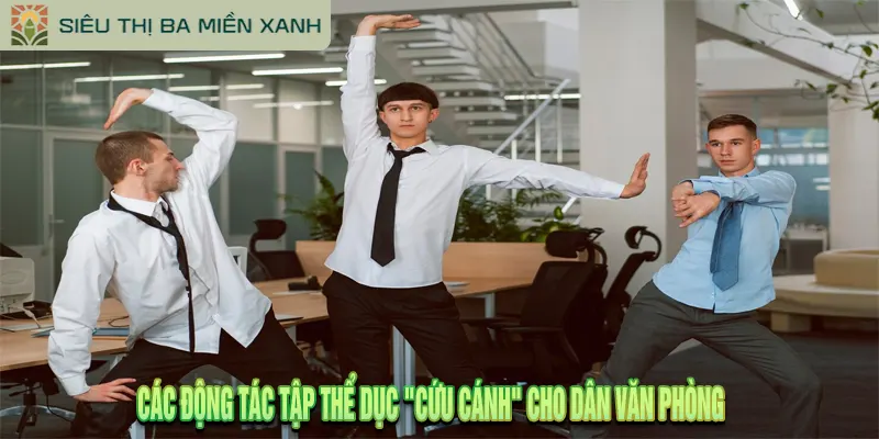 15+ Động Tác Tập Thể Dục Đơn Giản Giúp Cơ Thể Khỏe Mạnh