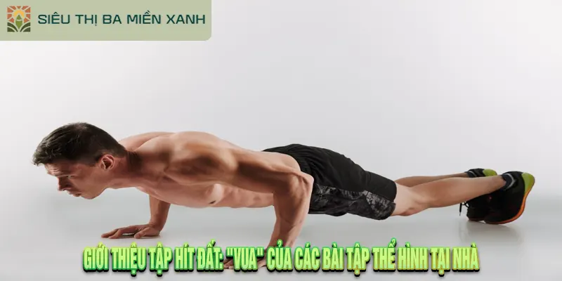 Giới Thiệu Tập Hít Đất: "Vua" Của Các Bài Tập Thể Hình Giới Thiệu Tập Hít Đất: "Vua" Của Các Bài Tập Thể Hình