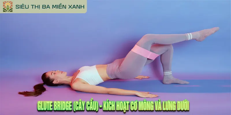 15+ Động Tác Tập Thể Dục Đơn Giản Giúp Cơ Thể Khỏe Mạnh