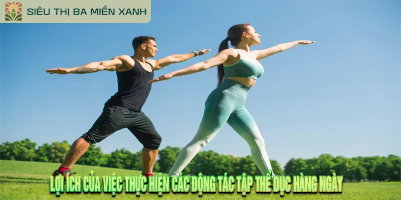 15+ Động Tác Tập Thể Dục Đơn Giản Giúp Cơ Thể Khỏe Mạnh