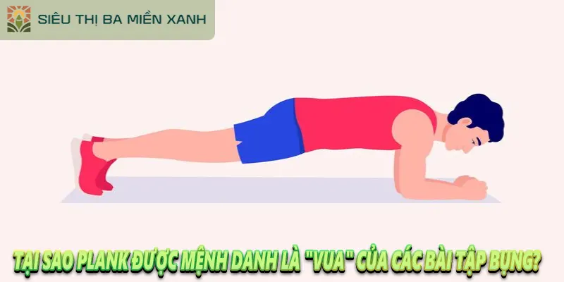 Tập Plank Bụng Đúng Cách Từ A-Z và Kế Hoạch 30 Ngày 1 Tập Plank Bụng Đúng Cách Từ A-Z và Kế Hoạch 30 Ngày