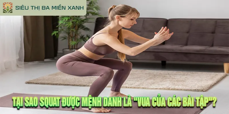 Hướng Dẫn Tập Squat Đúng Cách Từ A-Z Cho Người Mới 1 Tại Sao Squat Được Mệnh Danh Là "Vua Của Các Bài Tập"?