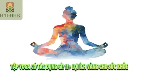 Tập Yoga Có Tác Dụng Gì? 11+ Lợi Ích Vàng Cho Sức Khỏe