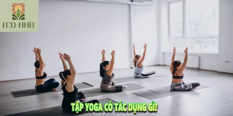 Tập Yoga Có Tác Dụng Gì? 11+ Lợi Ích Vàng Cho Sức Khỏe 1 Tập Yoga Có Tác Dụng Gì? 11+ Lợi Ích Vàng Cho Sức Khỏe