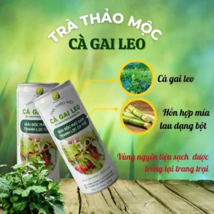 Trà Thảo Mộc Cà Gai Leo: Bí Quyết Thanh Lọc Gan