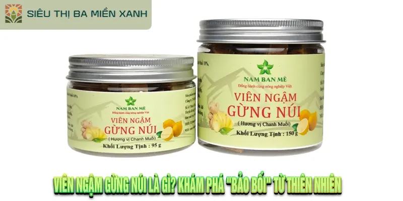 Viên Ngậm Gừng Núi Nam Ban Mê: Review Chi Tiết & 7 Lợi Ích Bất Ngờ