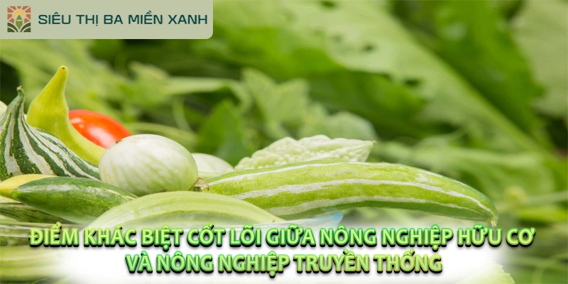 Sự Khác Biệt Giữa Nông Nghiệp Hữu Cơ và Nông Nghiệp Truyền Thống? 2 Điểm khác biệt cốt lõi giữa nông nghiệp hữu cơ và nông nghiệp truyền thống