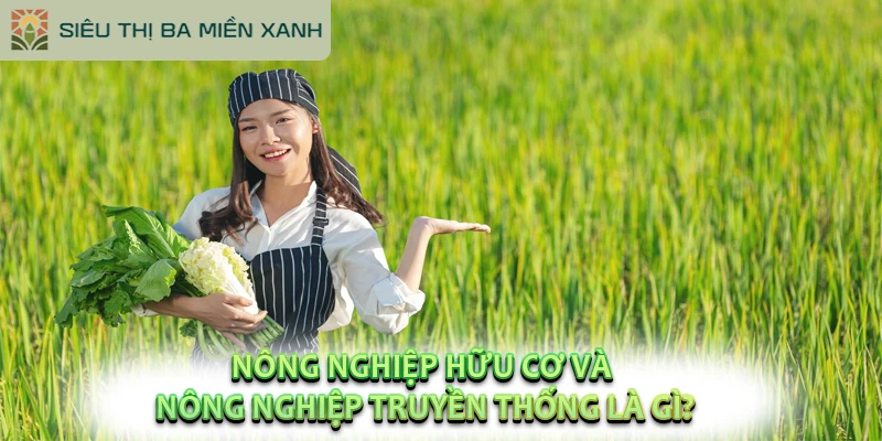 Sự Khác Biệt Giữa Nông Nghiệp Hữu Cơ và Nông Nghiệp Truyền Thống? 1 Nông nghiệp hữu cơ và nông nghiệp truyền thống là gì?